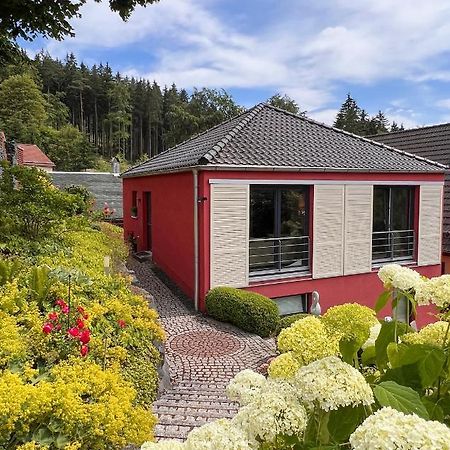Ferienhaus Conradshoeh Mit Sauna Ilmenau Exterior foto